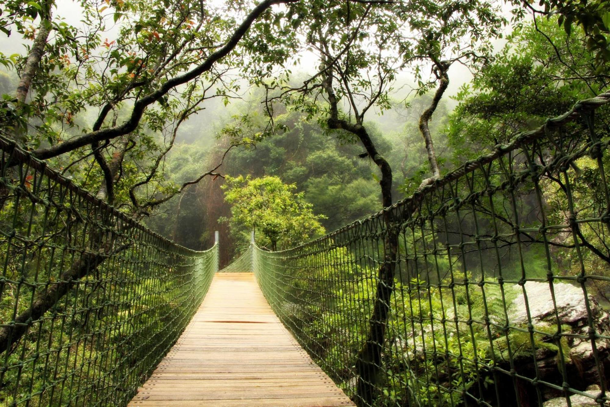 Mogodi Lodge Graskop Ngoại thất bức ảnh